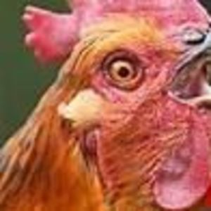 Meet your Posher, Elias sauceda